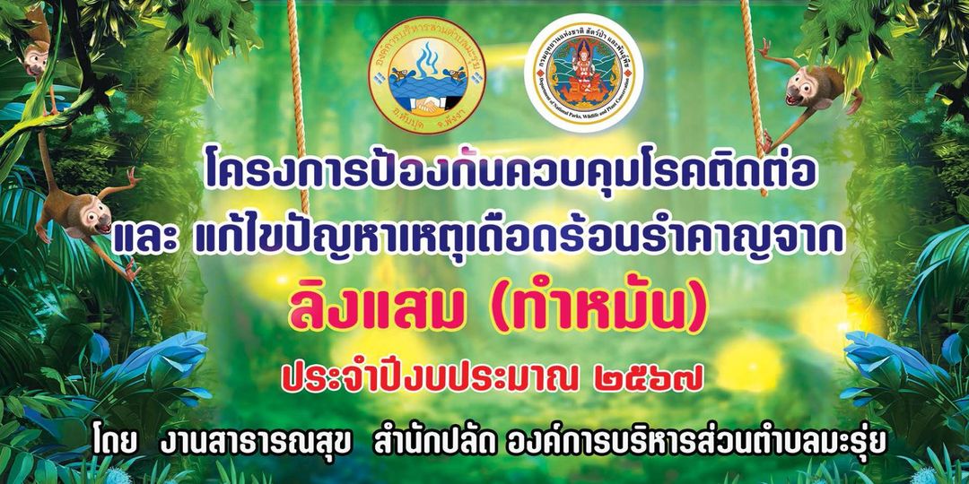 โครงการป้องกันควบคุมโรคติดต่อและแก้ไขปัญหาเหตุเดือดร้อนรำคาญจากลิงแสม(ทำหมัน)