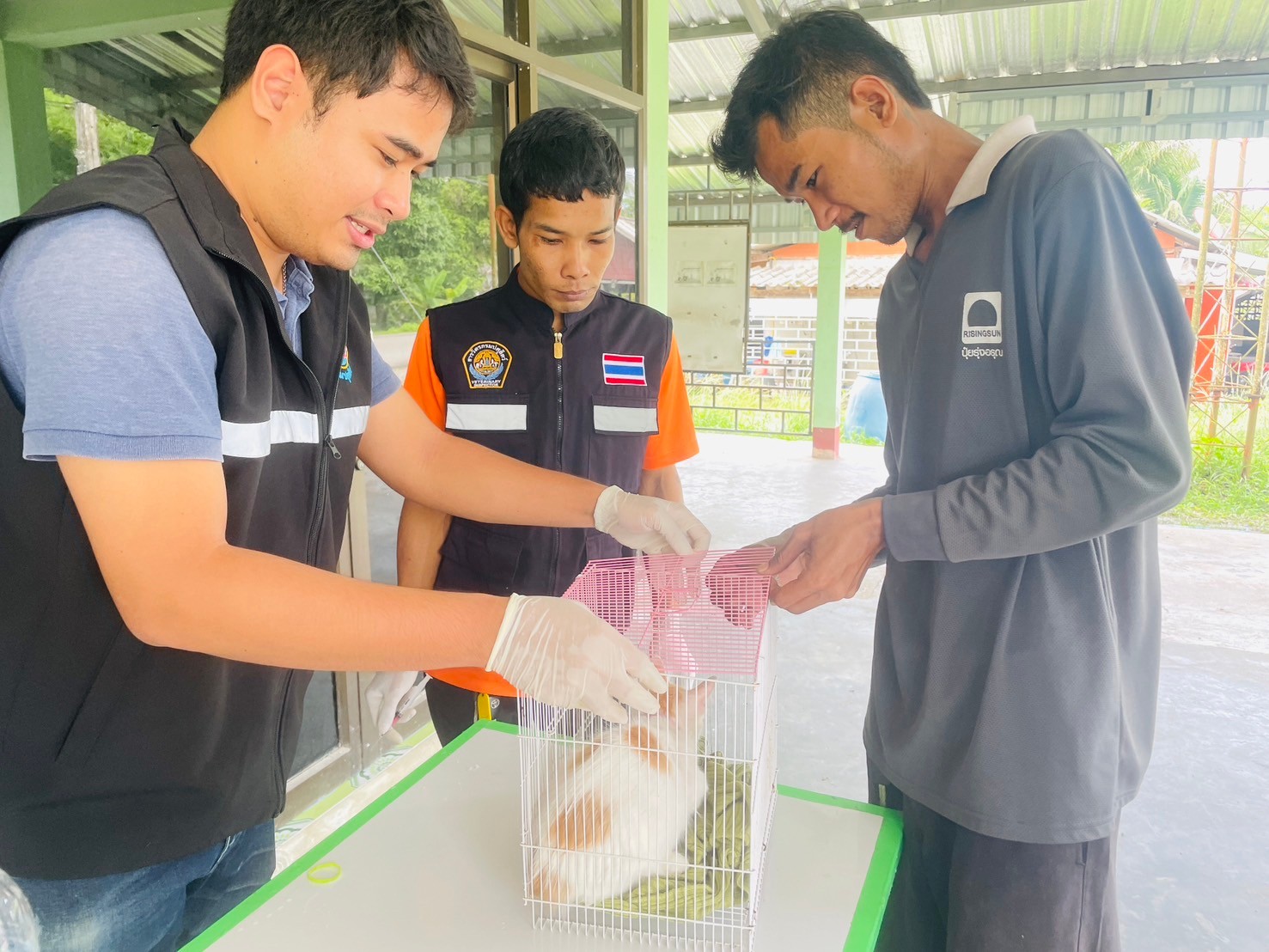 โครงการสัตว์ปลอดโรค คนปลอดภัย จากโรคพิษสุนัขบ้า ตามพระปณิธาน ศาสตราจารย์ ดร.สมเด็จพระเจ้าน้องนางเธอ เจ้าฟ้าจุฬาภรณวลัยลักษณ์ อัครราชกุมารี กรมพระศรีสวางควัฒน วรขัติยราชนารี ประจำปีงบประมาณ พ.ศ. 2567