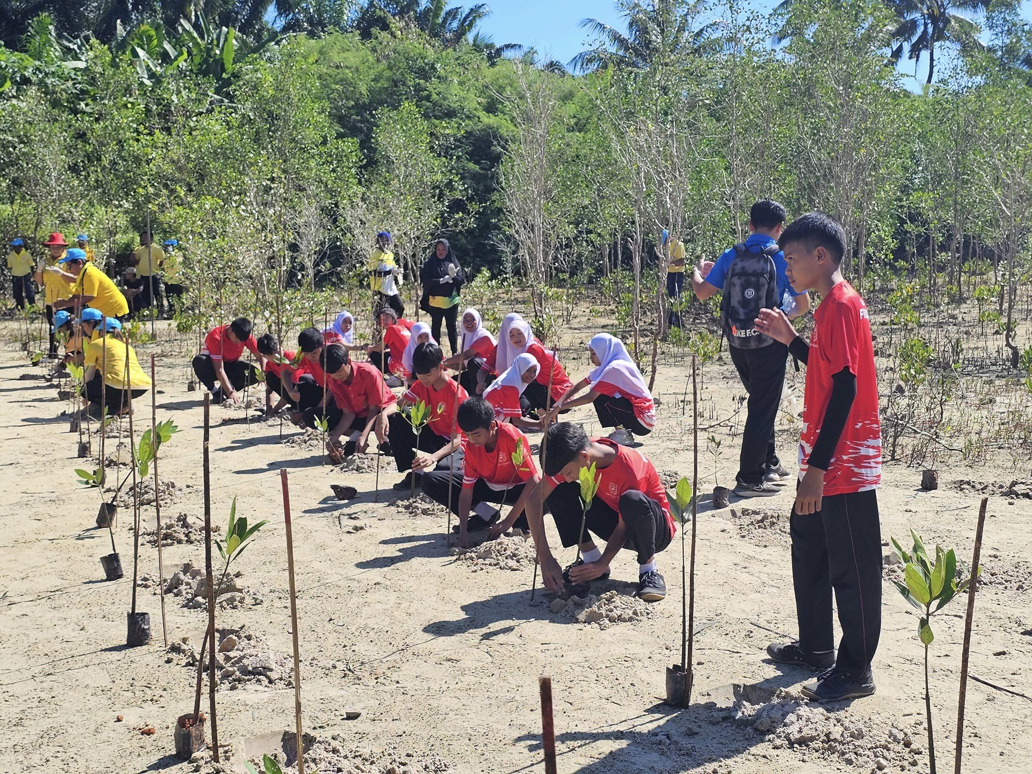 กิจกรรมปลูกป่าชายเลน เนื่องในวันดินโลก (World Soil Day 2024) ประจำปี 2567 ณ  พื้นที่อนุรักษ์ป่าชายเลนบ้านท่าแกรง หมู่ที่ 3 ต.มะรุ่ย อ.ทับปุด จ.พังงา